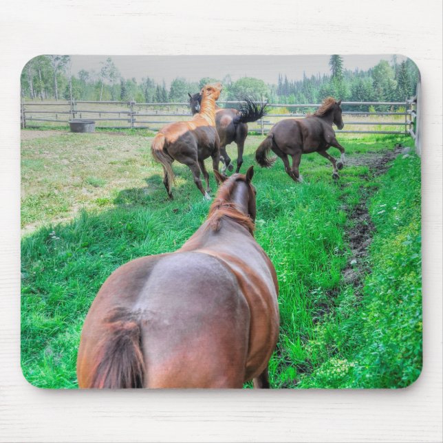 Running Pinto Paint Gelding & Chestnut Stallions Mouse Pad (Front)
