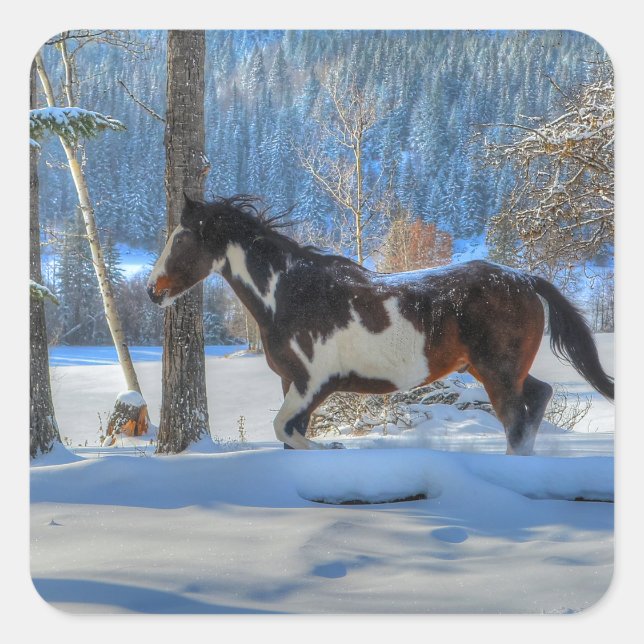 Running Pinto Paint Stallion in Winter Snows Photo Square Sticker (Front)