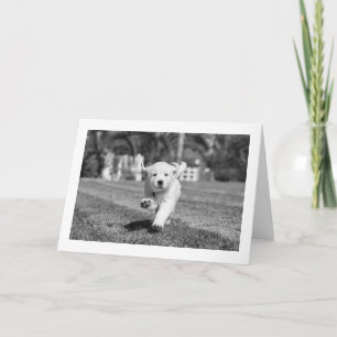 Running Puppy Blank Card