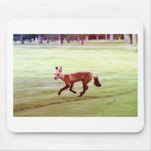 running red fox photograph mouse pad