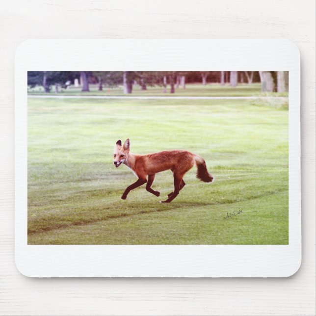 running red fox photograph mouse pad (Front)