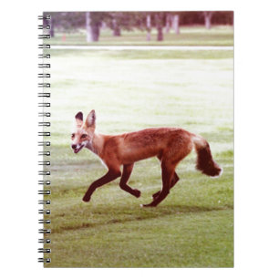 running red fox photograph notebook