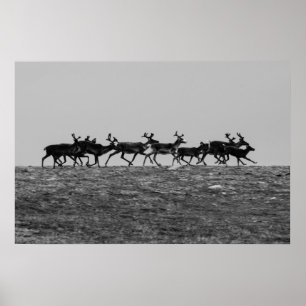Running Reindeer Poster