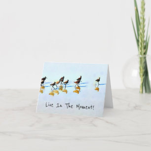 Running Sandpipers on Hilton Head Beach Thank You Card