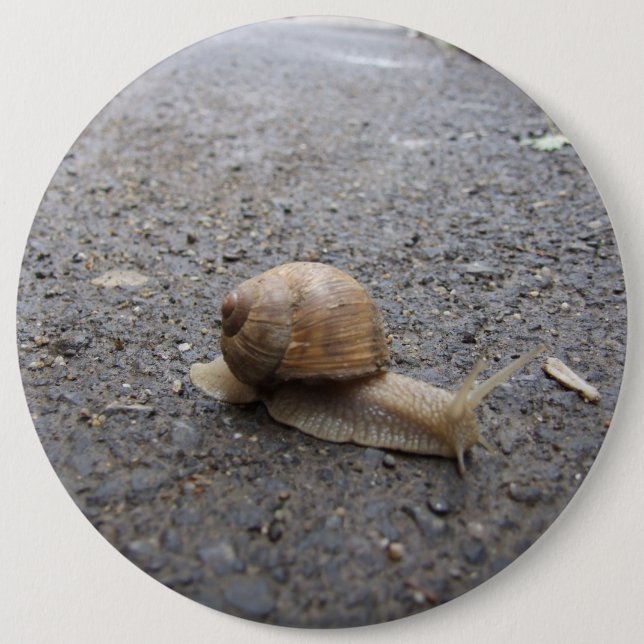 Running Snail 6 Cm Round Badge (Front)