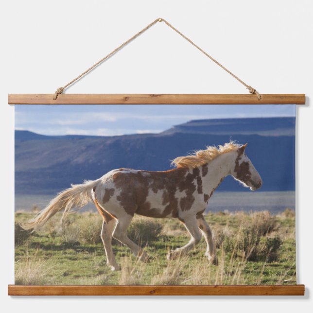 Running Stallion, Steens Mountains, Oregon Hanging Tapestry (Front)