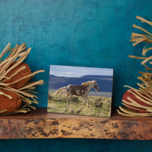 Running Stallion, Steens Mountains, Oregon Plaque
