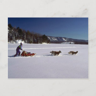 Running the team, Quebec Postcard