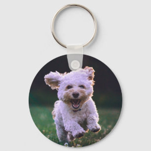 Running White Poodle Cute Dog Key Ring