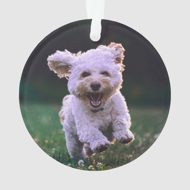 Running White Poodle Cute Dog Ornament (Back)