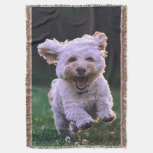 Running White Poodle Cute Dog Throw Blanket