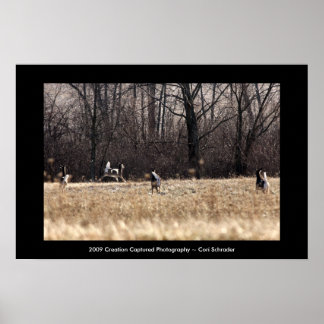 Running Whitetail Poster