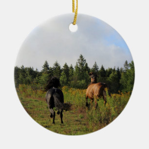 Running Wild Ceramic Ornament