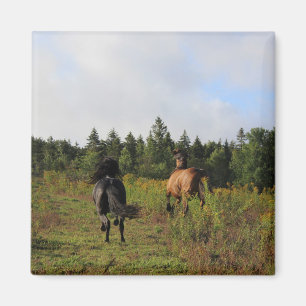 Running Wild Magnet