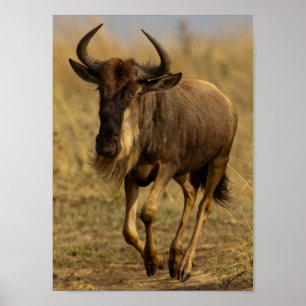 Running Wildebeest Poster