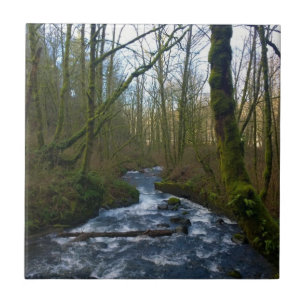 Runoff from Bridal Veil Falls, OR Ceramic Tile