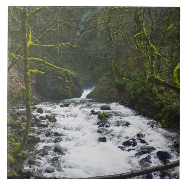 Runoff from Bridal Veil Falls, OR Ceramic Tile (Front)