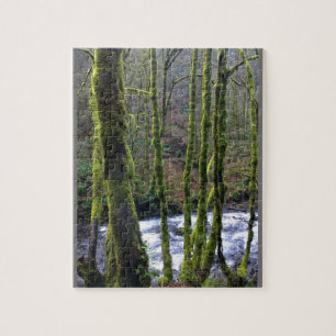 Runoff from Bridal Veil Falls, OR Jigsaw Puzzle