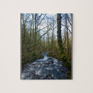Runoff from Bridal Veil Falls, OR Jigsaw Puzzle