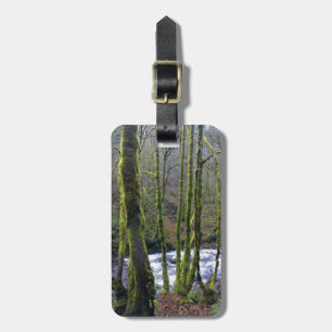 Runoff from Bridal Veil Falls, OR Luggage Tag