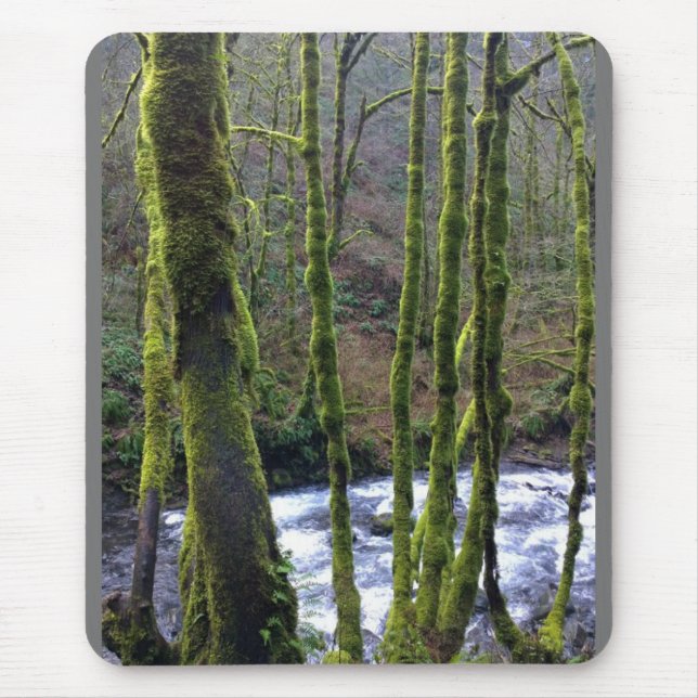 Runoff from Bridal Veil Falls, OR Mouse Pad (Front)