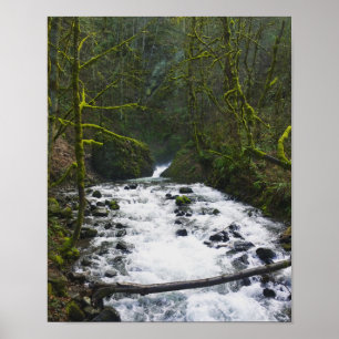 Runoff from Bridal Veil Falls, OR Poster