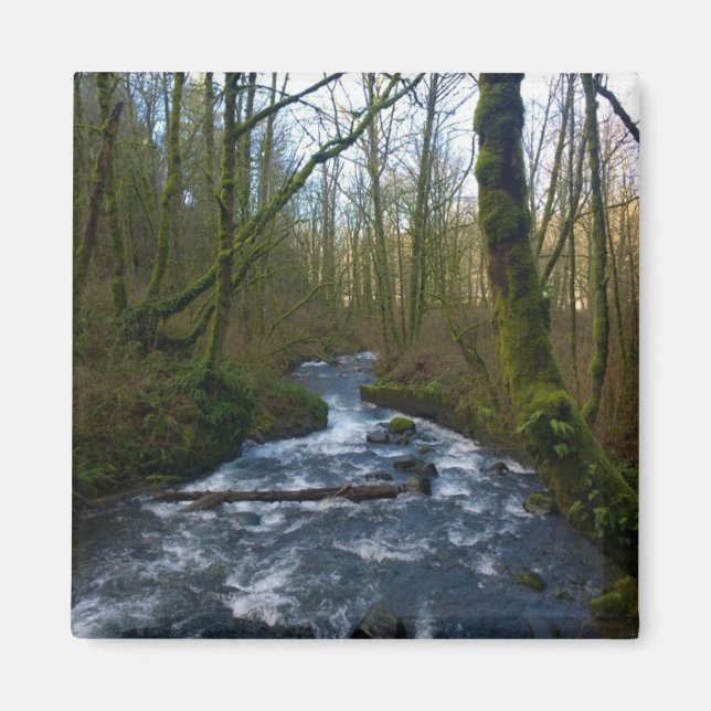 Runoff from Bridal Veil Falls, Oregon Magnet (Front)