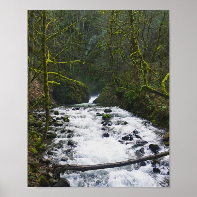 Runoff from Bridal Veil Falls, Oregon Poster (Front)