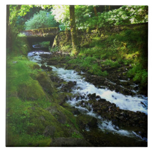 Runoff from Wahkeena Falls Ceramic Tile