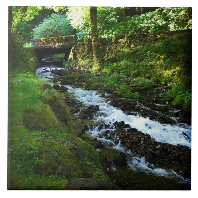 Runoff from Wahkeena Falls, OR Ceramic Tile (Front)