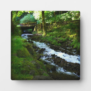 Runoff from Wahkeena Falls, OR Plaque