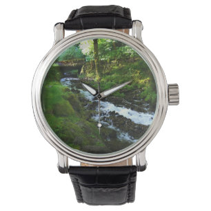 Runoff from Wahkeena Falls, OR Watch