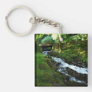 Runoff from Wahkeena Falls, Oregon Key Ring