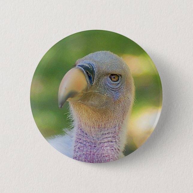 Rupell's Griffon Vulture 6 Cm Round Badge (Front)