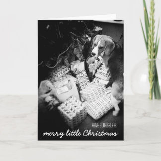 Rupert the Beagle Christmas Card