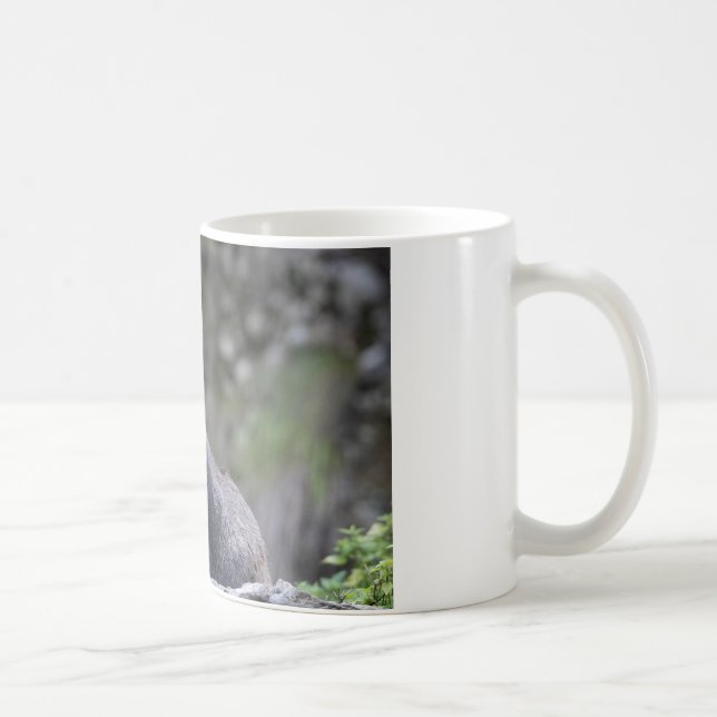 Rupicapra rupicapra coffee mug (Right)