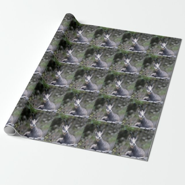 Rupicapra rupicapra wrapping paper (Unrolled)