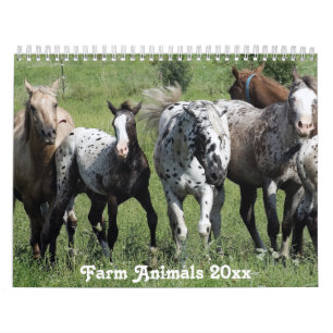 Rural America Farm Animals Calendar