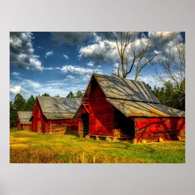 Rural America Red Barn  Poster (Front)