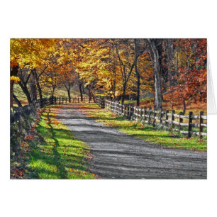 Rural Autumn