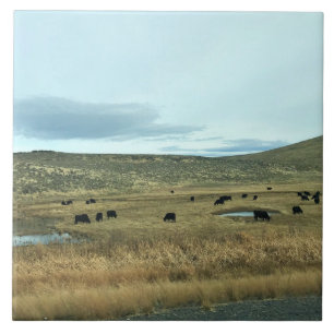 Rural Baker County, Oregon Ceramic Tile