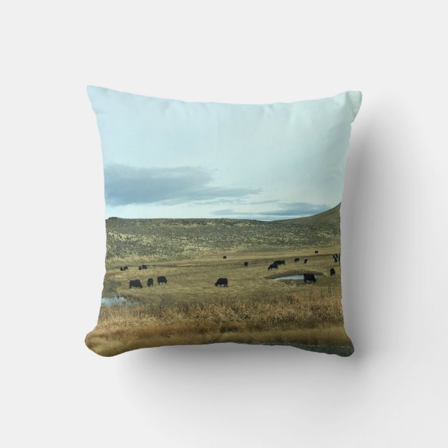 Rural Baker County, Oregon Cushion (Front)