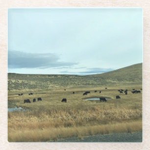Rural Baker County, Oregon Glass Coaster