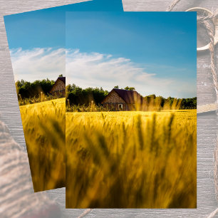 Rural Barn in a Shimmering Gold Wheatfield Tissue Paper