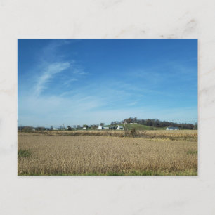 Rural Countryside in Autumn, Baltic, Ohio Postcard