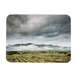 Rural Crop Fields Under Cloudy Sky Magnet