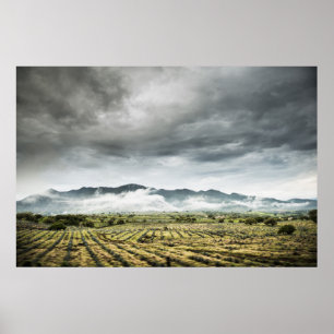 Rural Crop Fields Under Cloudy Sky Poster