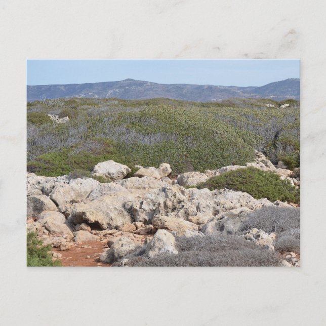 Rural Cyprus Nature Postcard (Front)