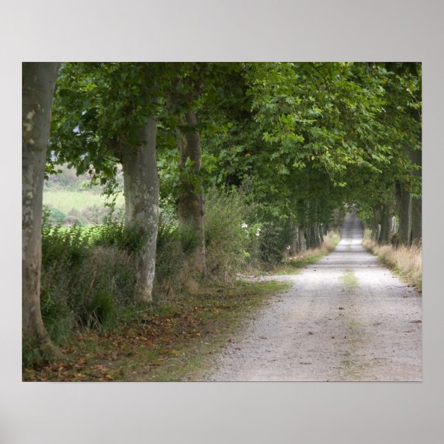 Rural dirt country road near the town of poster (Front)