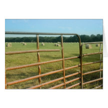 Rural Hay Field Blank Card